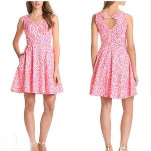 Lily Pulitzer Fiesta Pink Everything Nice Freja dress Size 2